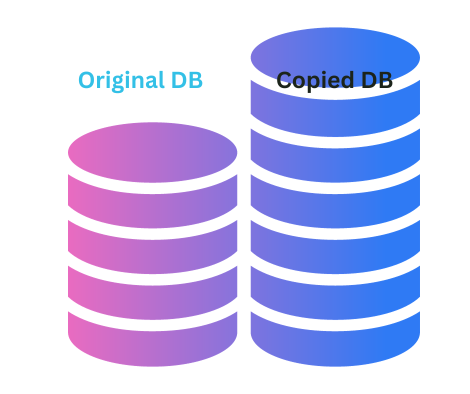 database backup