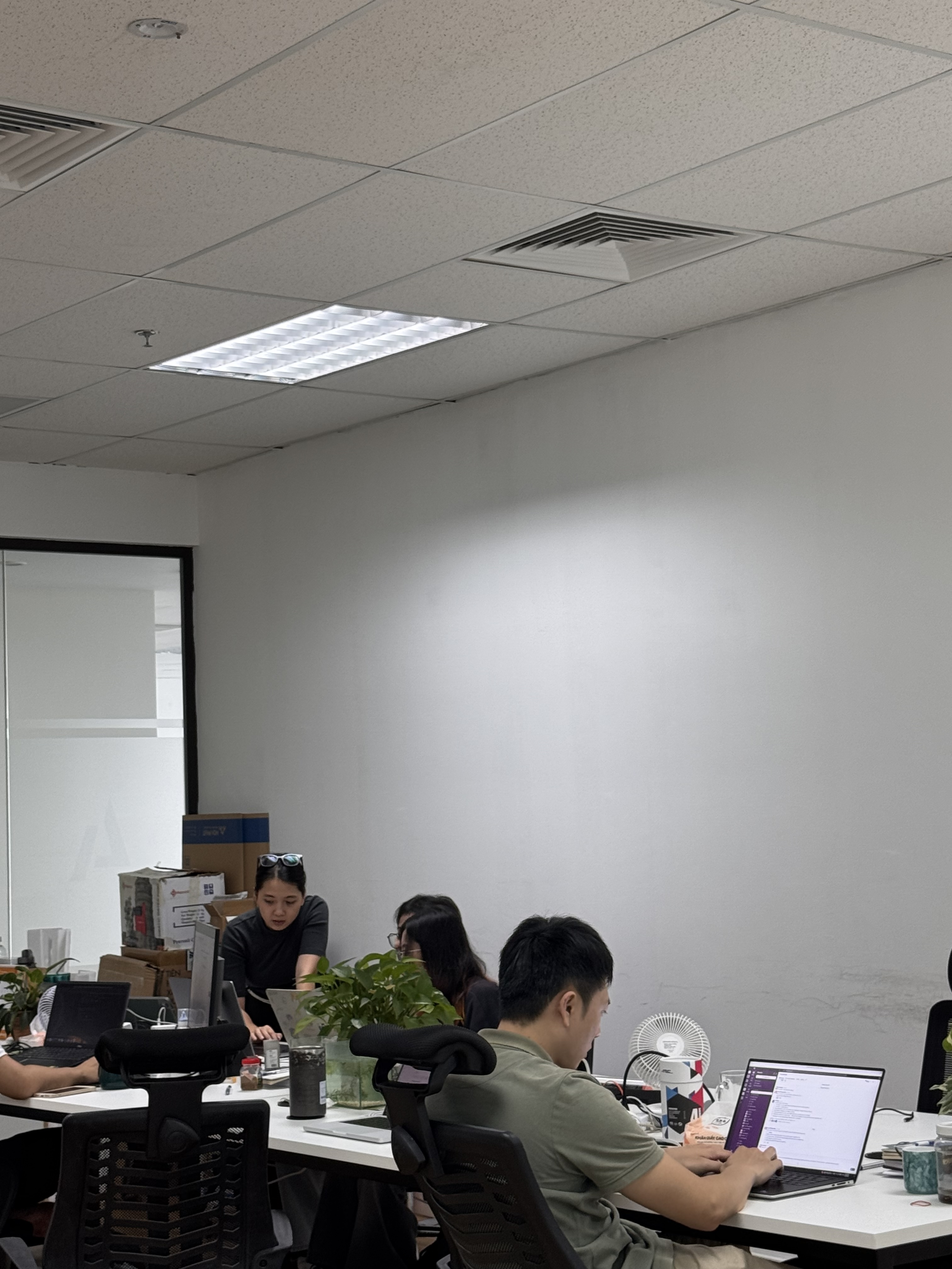 thiết kế và phản hồi