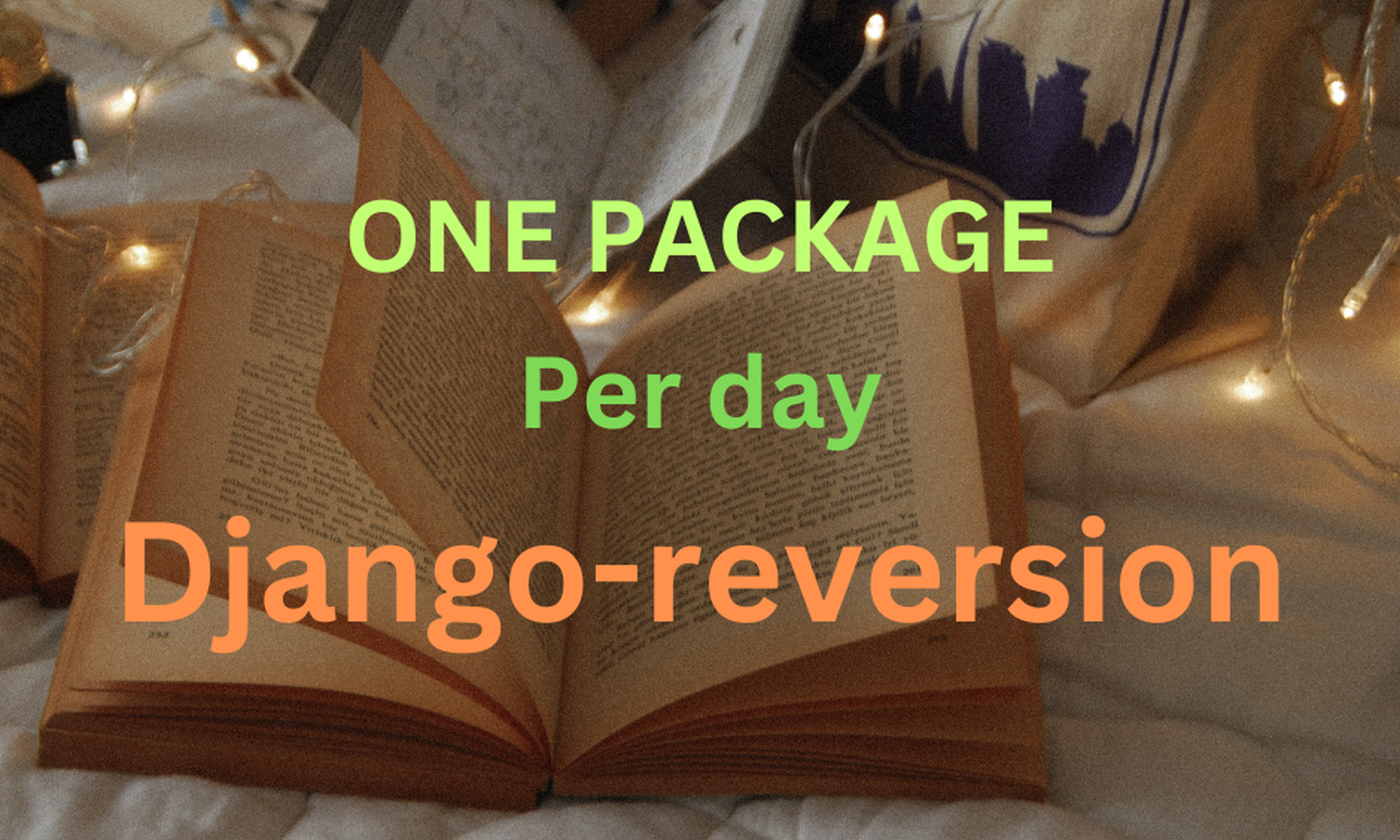 [One Package Per Day] - Django Reversion