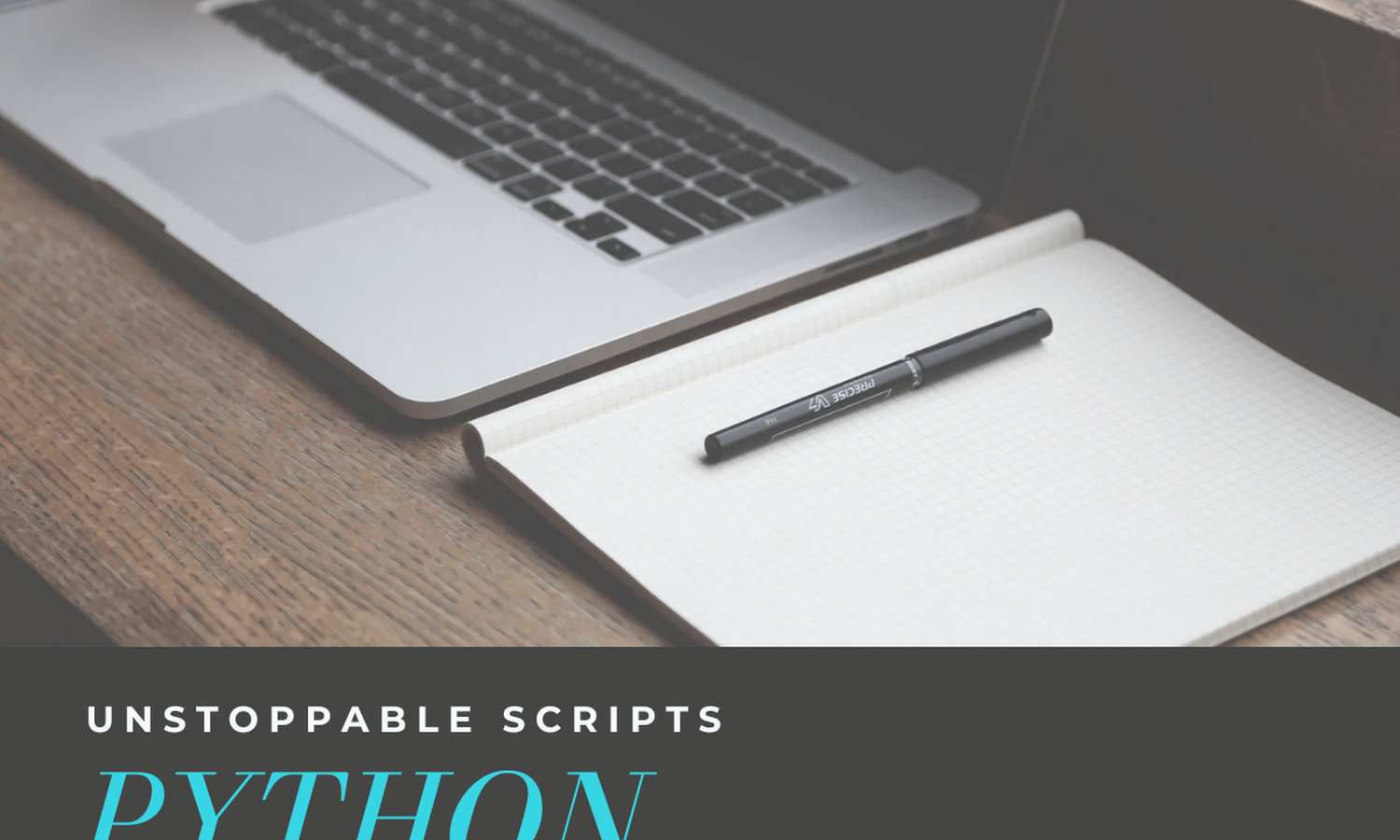 Common Python Problems - [6] Unstoppable Scripts