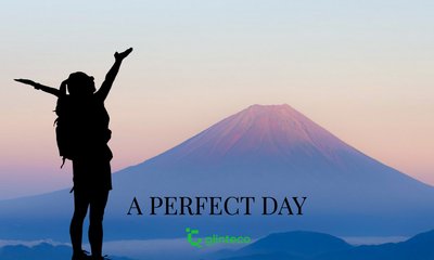 What is a Perfect Day for a Developer