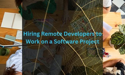 Hiring Remote Developers to Work on a Software Project